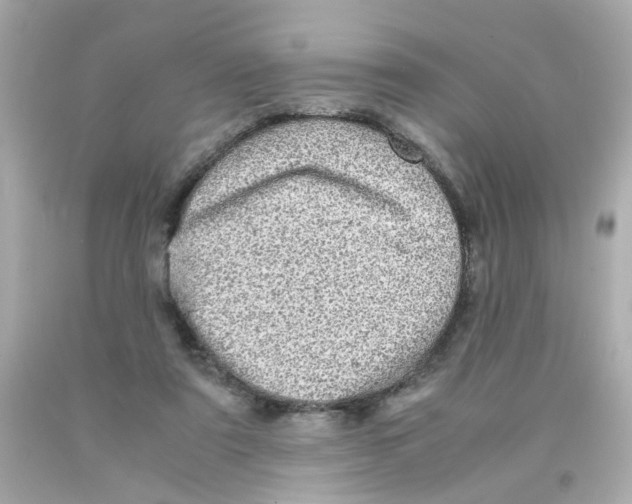X0000093120307200710241308