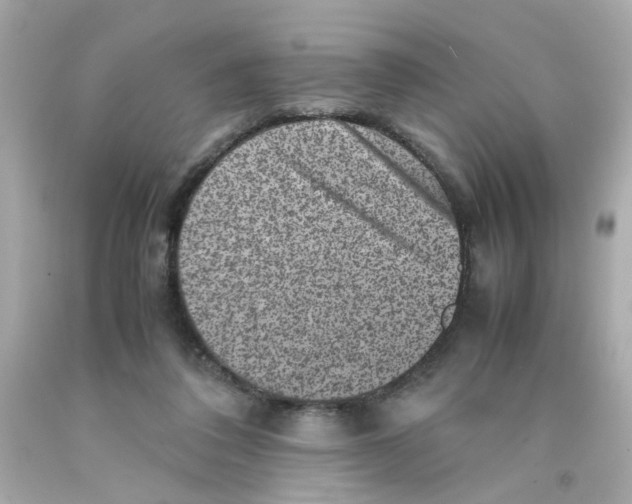 X0000093120308200710241308