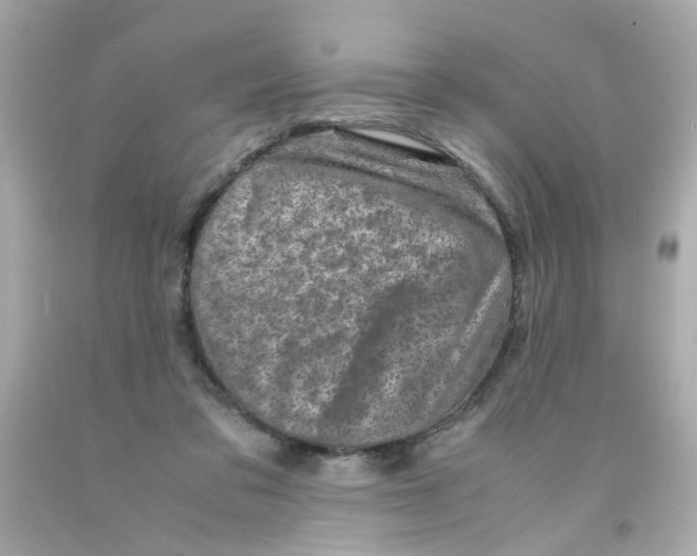 X0000093120309200710241308