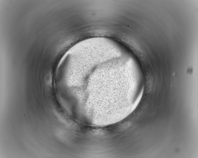 X0000093120310200710241308