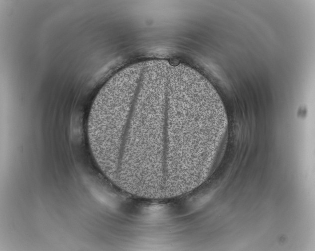 X0000093120312200710241308