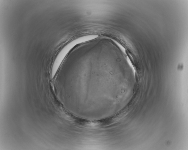 X0000093120313200710241308