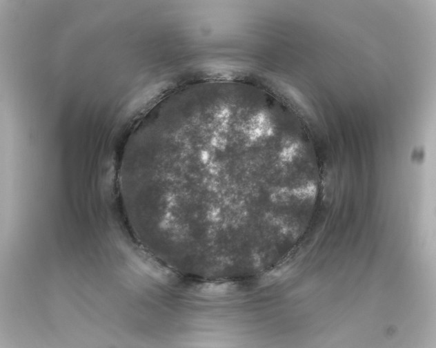 X0000093120314200710241308