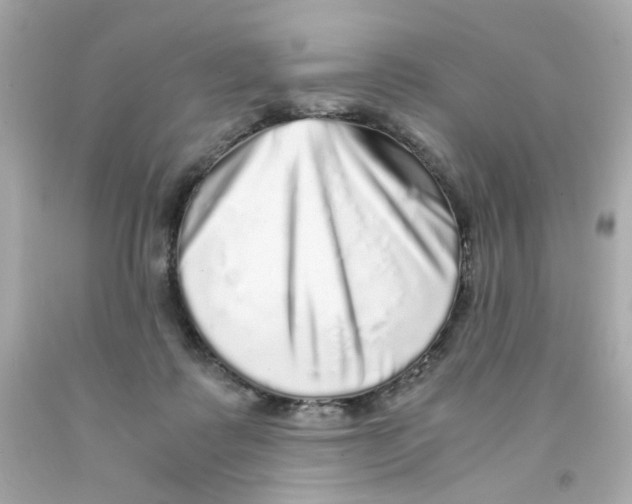 X0000093120315200710241308