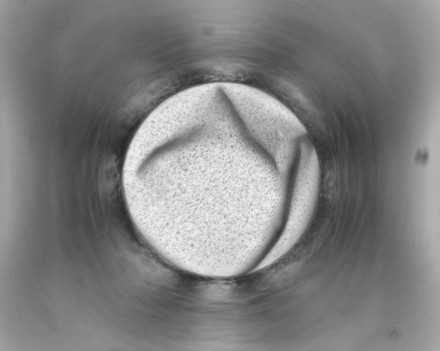 X0000093120318200710241308