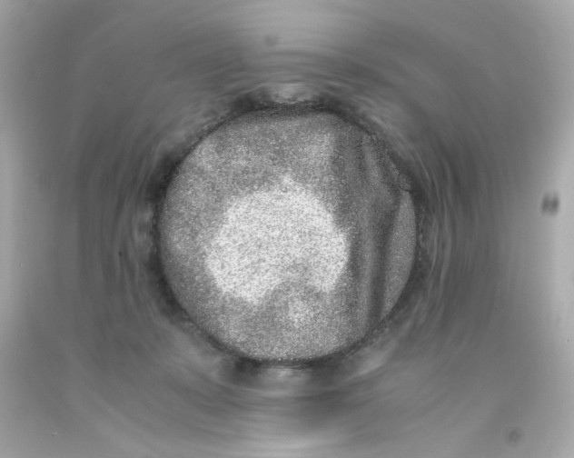 X0000093120319200710241308