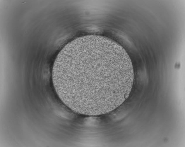 X0000093120320200710241308