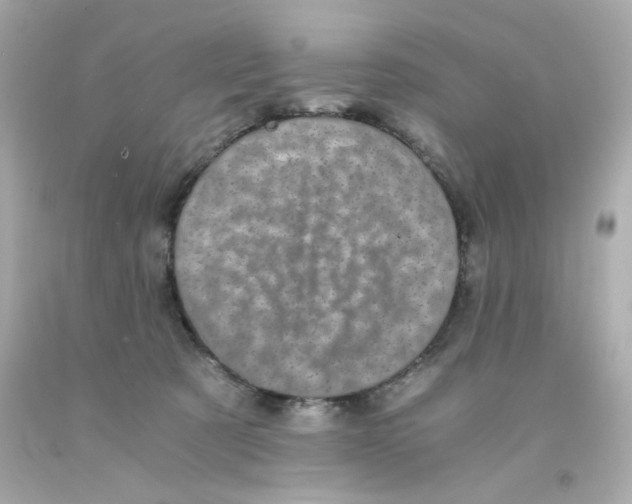 X0000093120321200710241308