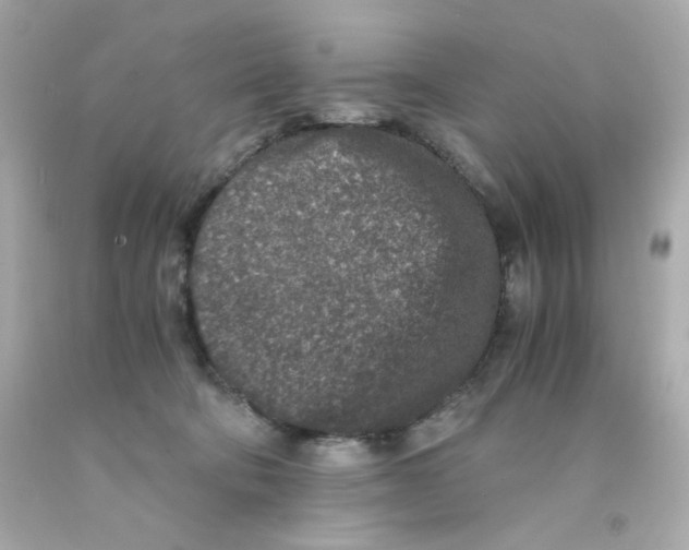 X0000093120322200710241308