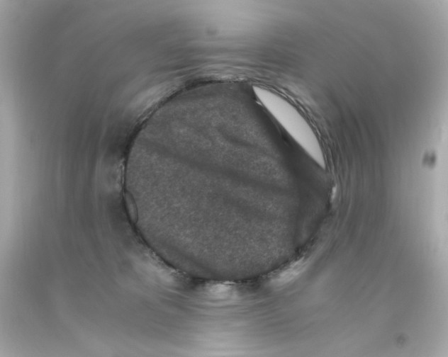 X0000093120325200710241308