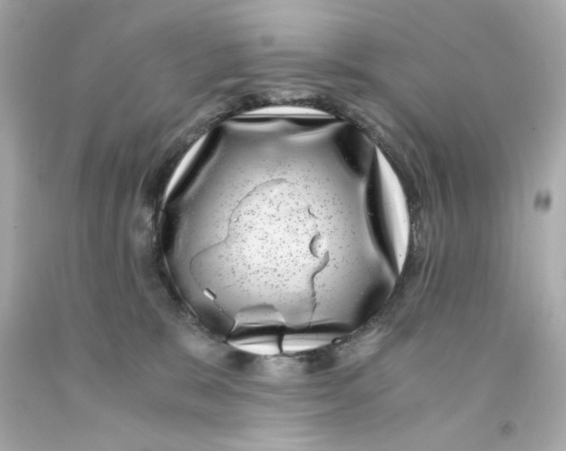 X0000093120327200710241308