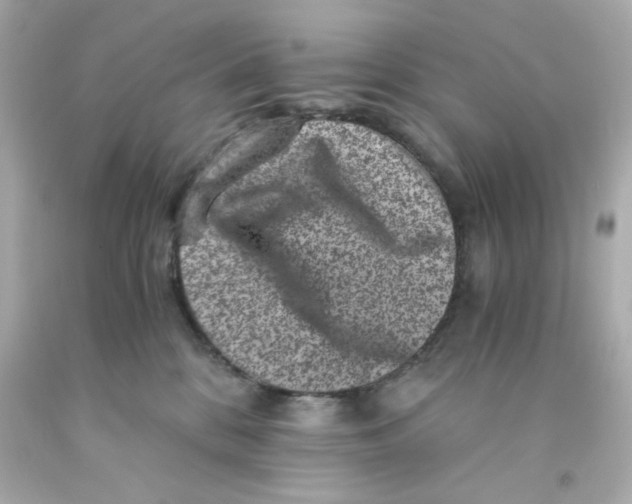 X0000093120328200710241308