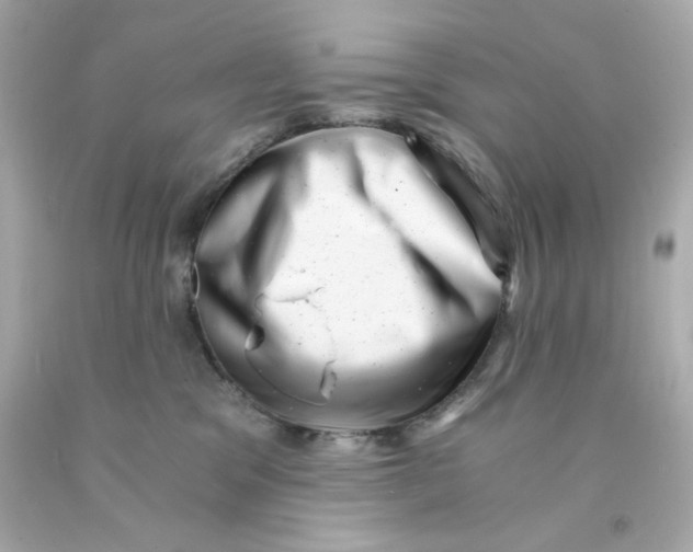 X0000093120329200710241308