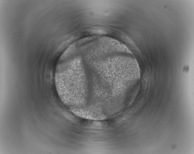 X0000093120330200710241308