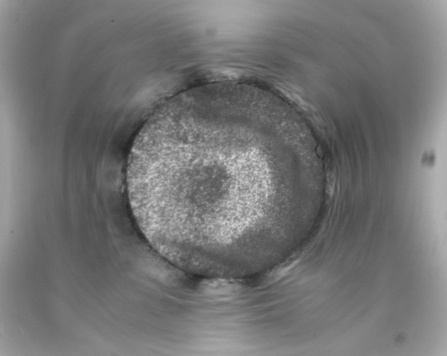X0000093120331200710241308