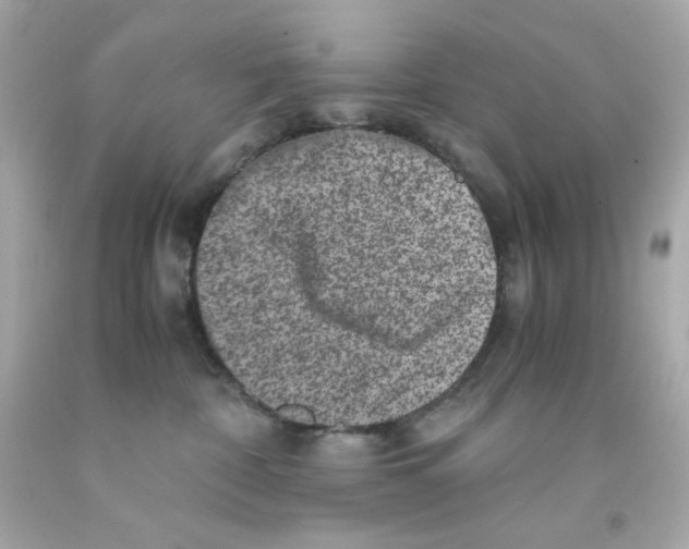 X0000093120332200710241308