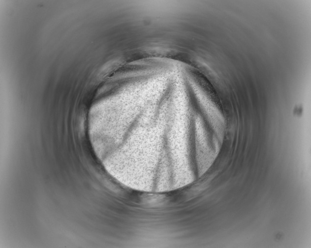 X0000093120334200710241308