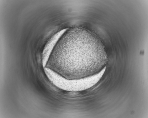 X0000093120335200710241308