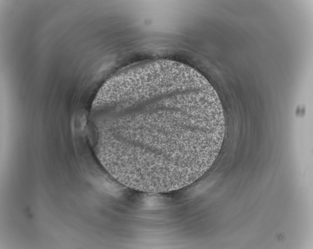 X0000093120336200710241308