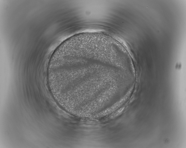 X0000093120337200710241307