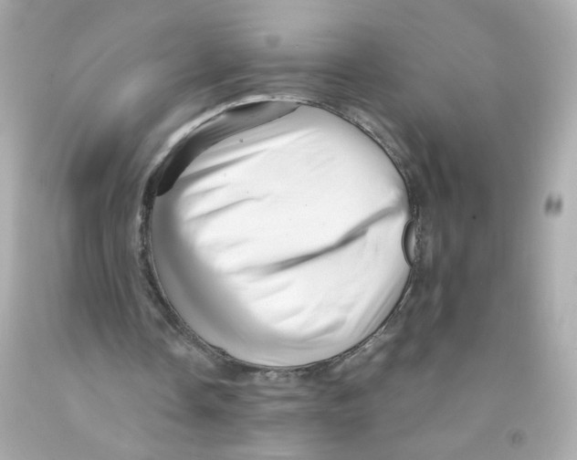 X0000093120338200710241307