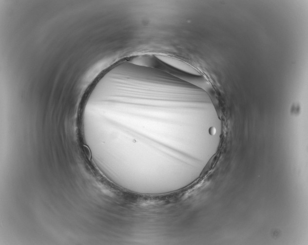 X0000093120340200710241307