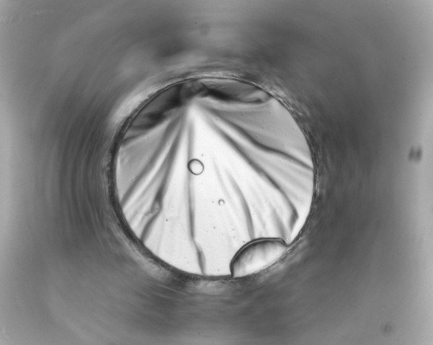 X0000093120341200710241307