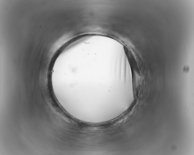 X0000093120344200710241307