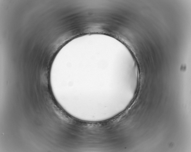 X0000093120345200710241307