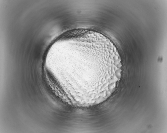 X0000093120346200710241307