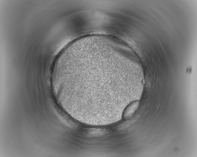 X0000093120347200710241307