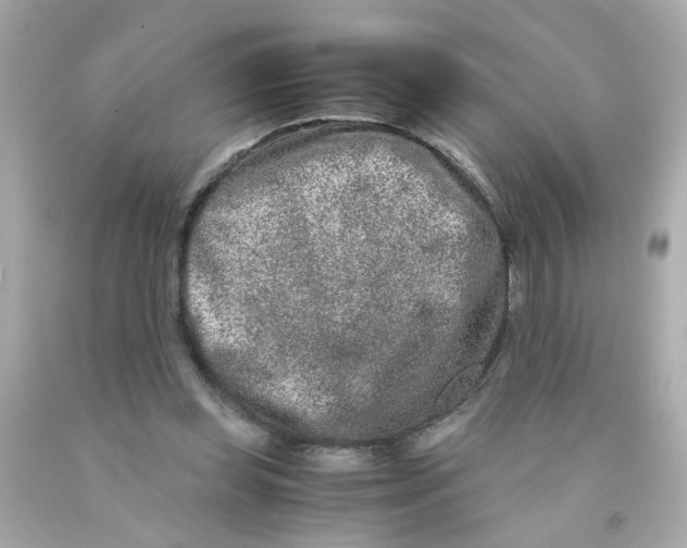 X0000093120349200710241307