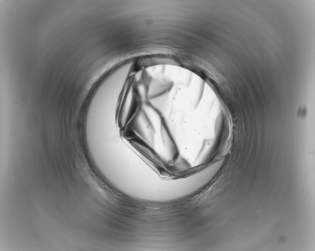 X0000093120350200710241307