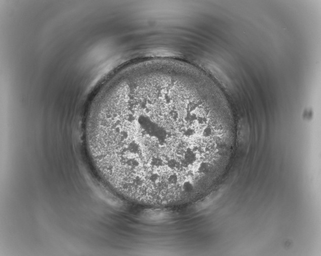 X0000093120351200710241307