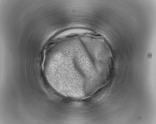 X0000093120352200710241307