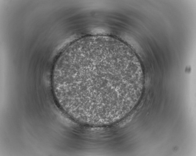 X0000093120353200710241307