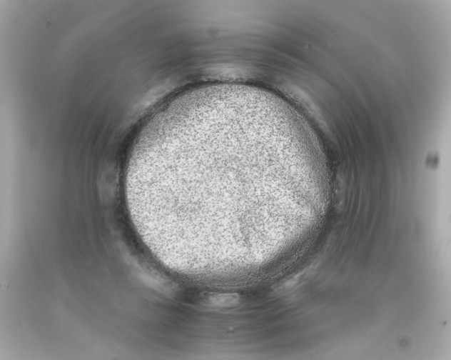 X0000093120355200710241307