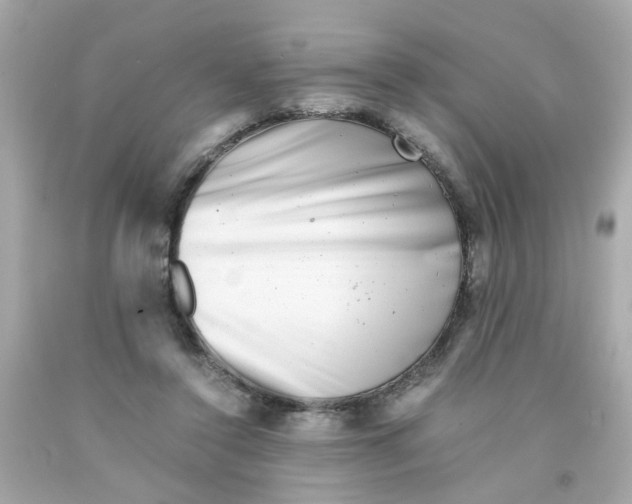 X0000093120356200710241307