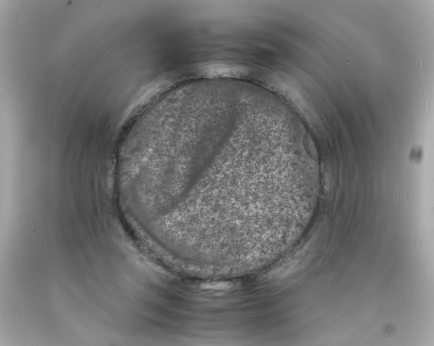 X0000093120357200710241307