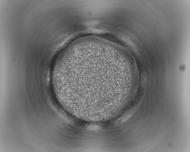 X0000093120358200710241307