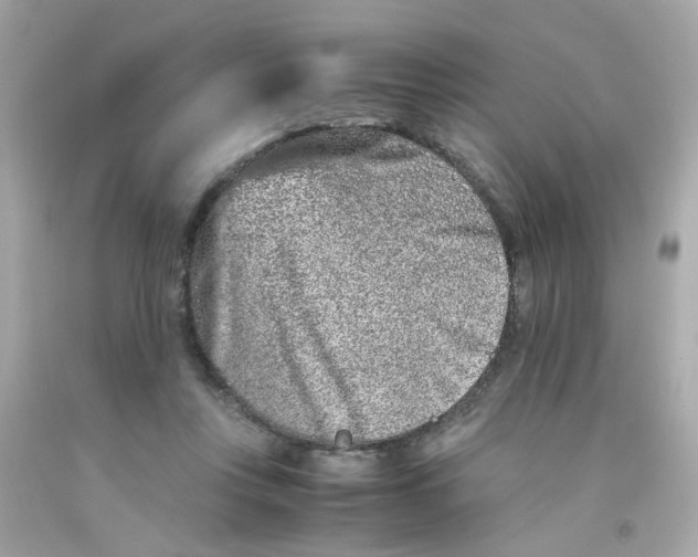 X0000093120359200710241307
