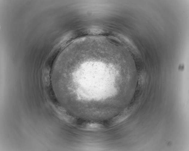 X0000093120360200710241307