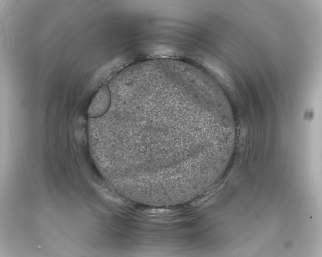 X0000093120361200710241307