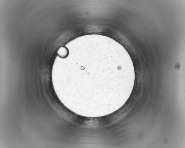 X0000093120362200710241307
