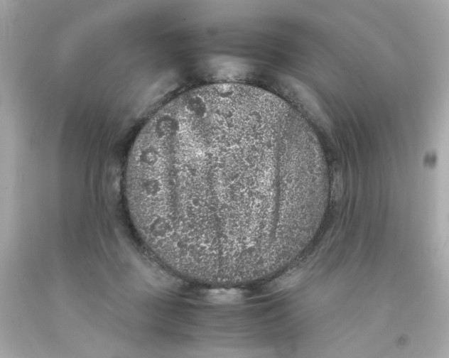 X0000093120363200710241307