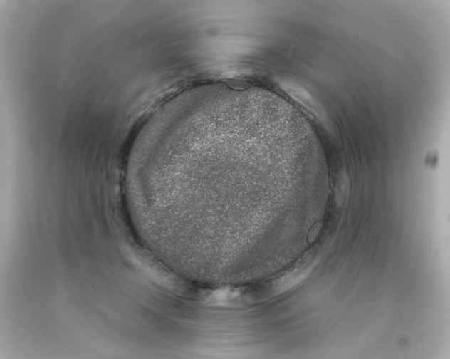 X0000093120366200710241307