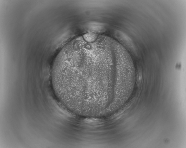 X0000093120367200710241307