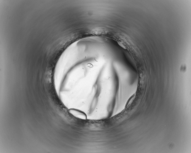 X0000093120368200710241308