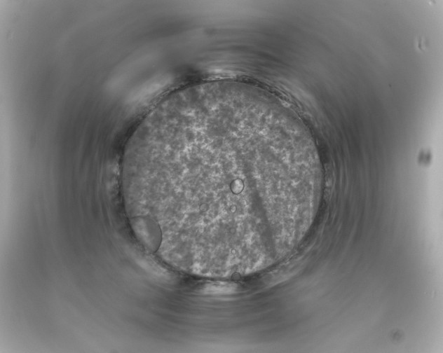 X0000093120369200710241308