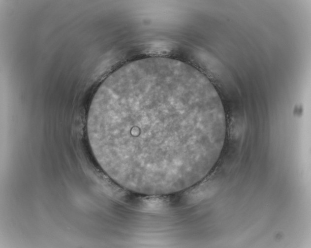 X0000093120370200710241308